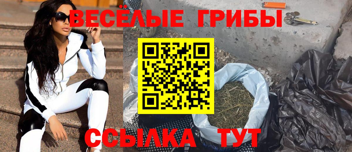 Нижнеудинск  Галлюциногенные грибы мухоморы  Галлюциногенные грибы Psilocybine cubensis  Вход с VPN 